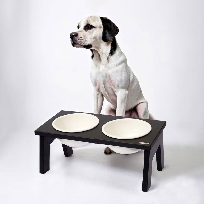 kleinmond-pet01 클레이몽드 펫 - 반려동물 식탁