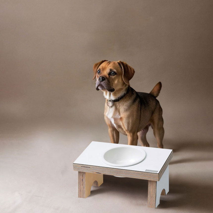 kleinmond-pet03 클레이몽드 펫 - 반려동물 식탁