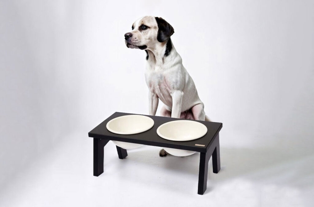 CNC 가공 10 클레이몽드 펫 - 반려동물 식탁